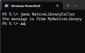 自定义jvm本地接口